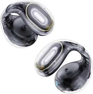 Anker Soundcore C30I Earpods Black