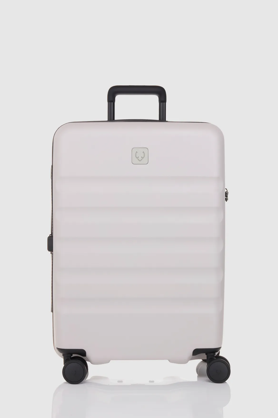 Icon Stripe 66cm Suitcase Strandbags